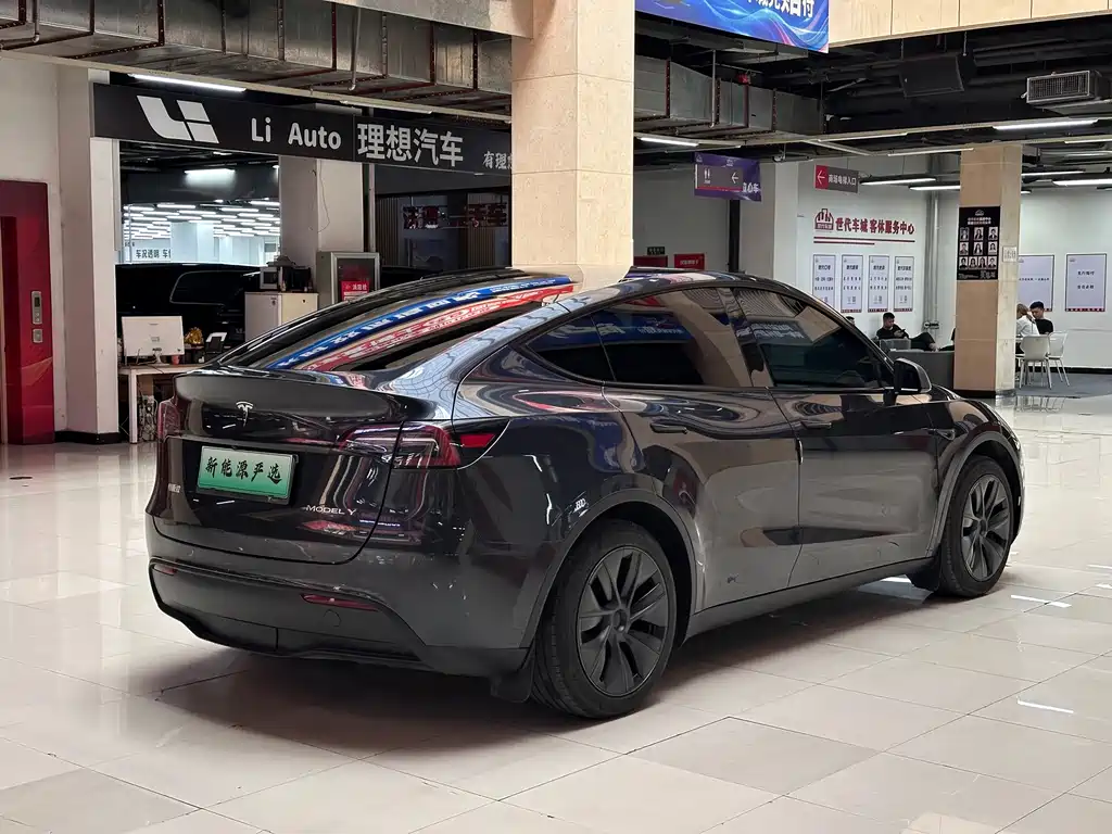 Tesla Model Y — миниатюра 4