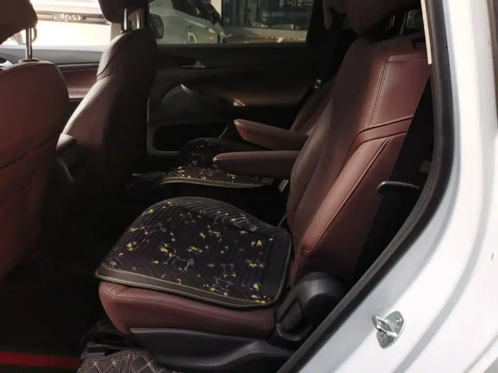 Buick GL6 — миниатюра 17