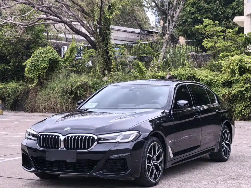 BMW 5 Series 2021