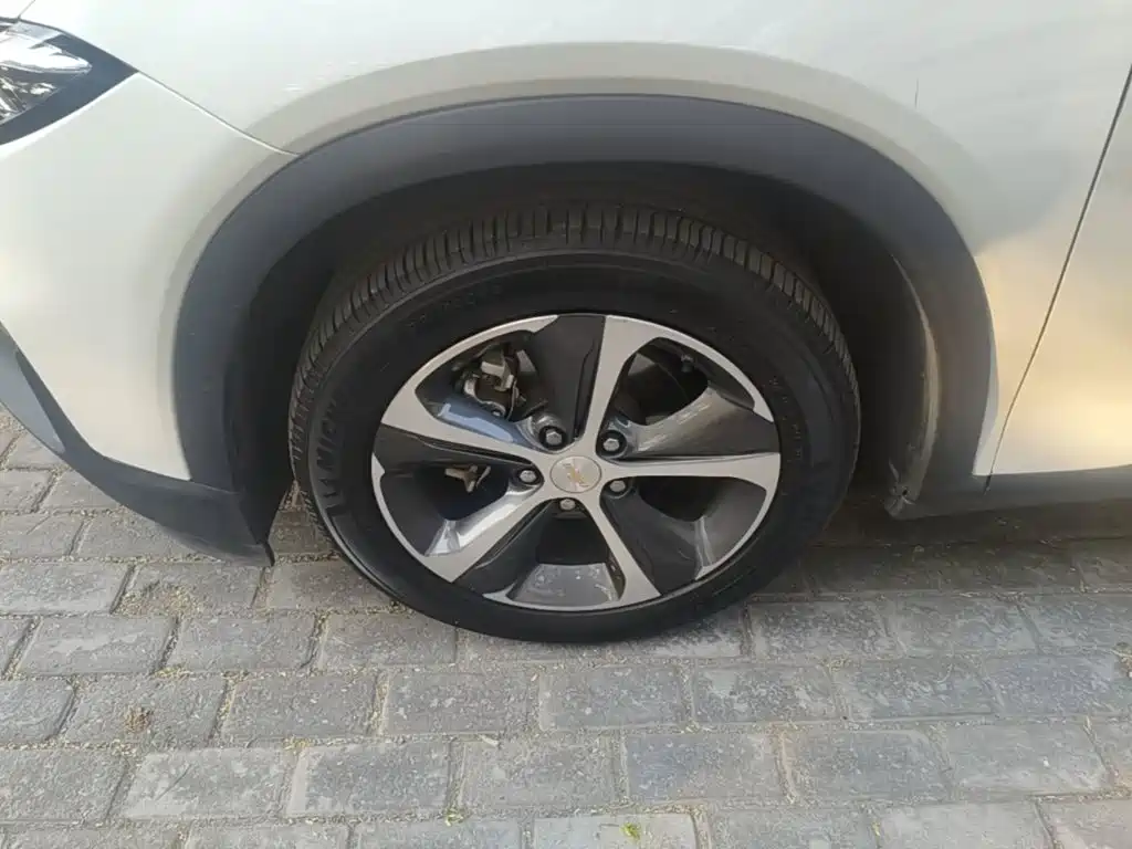 Chevrolet Menlo — миниатюра 23