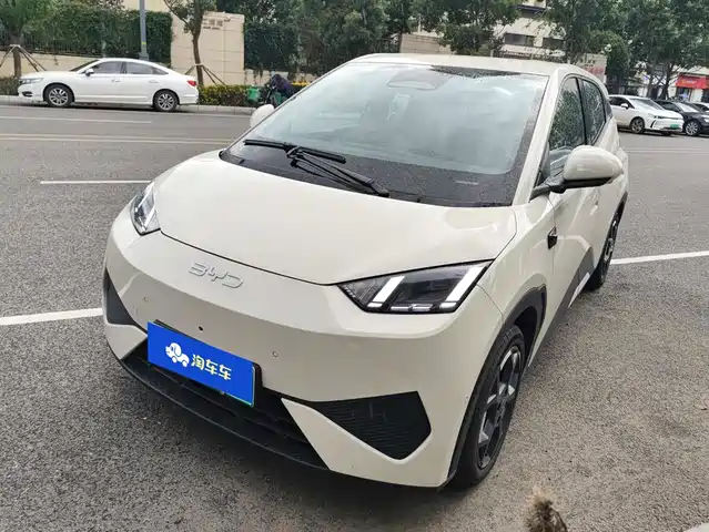 2025 BYD Seagull