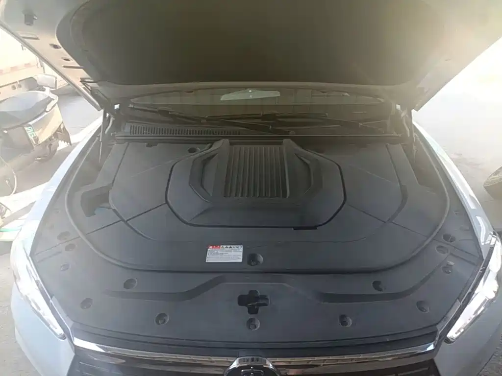BYD Pro New Energy — миниатюра 20