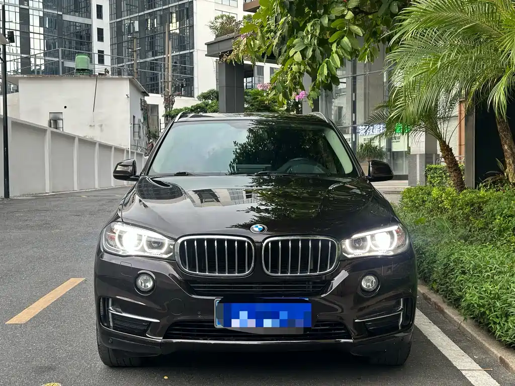 BMW X5 (Import) — миниатюра 2