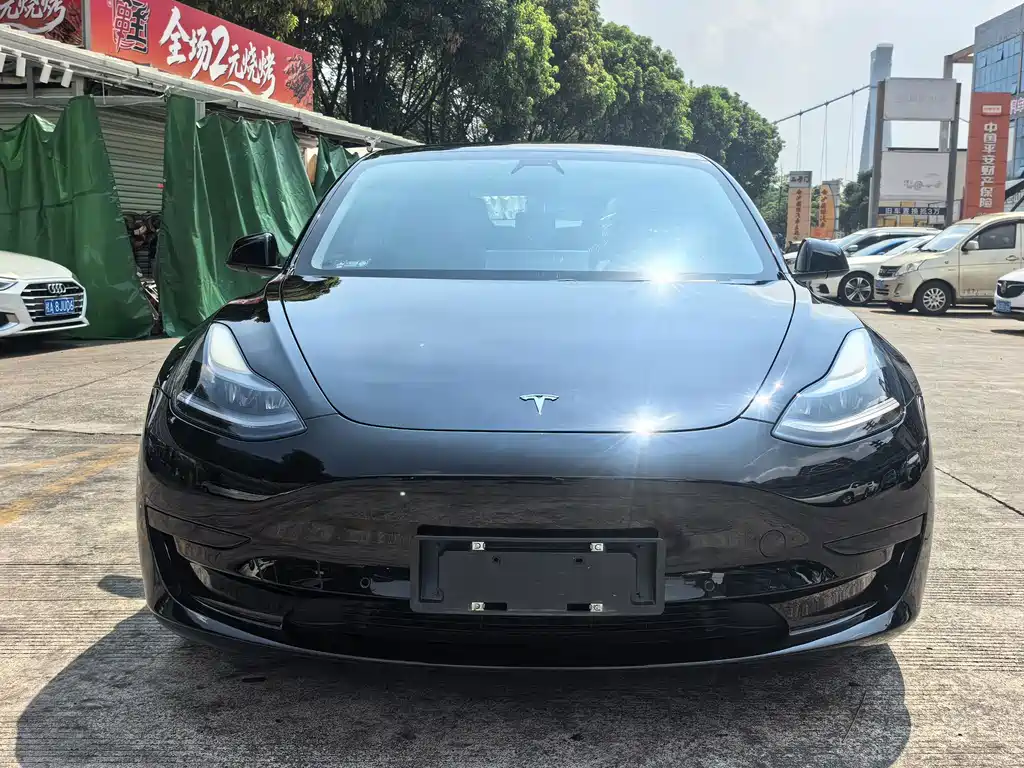 Tesla Model 3 — миниатюра 2