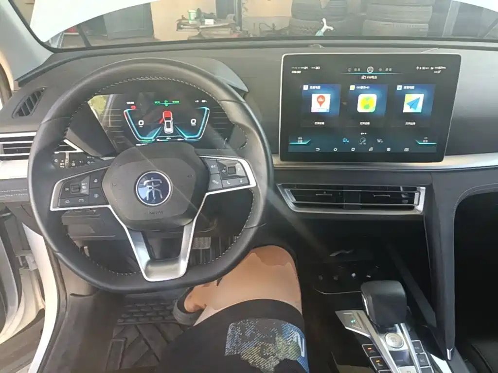 BYD Pro New Energy — миниатюра 10