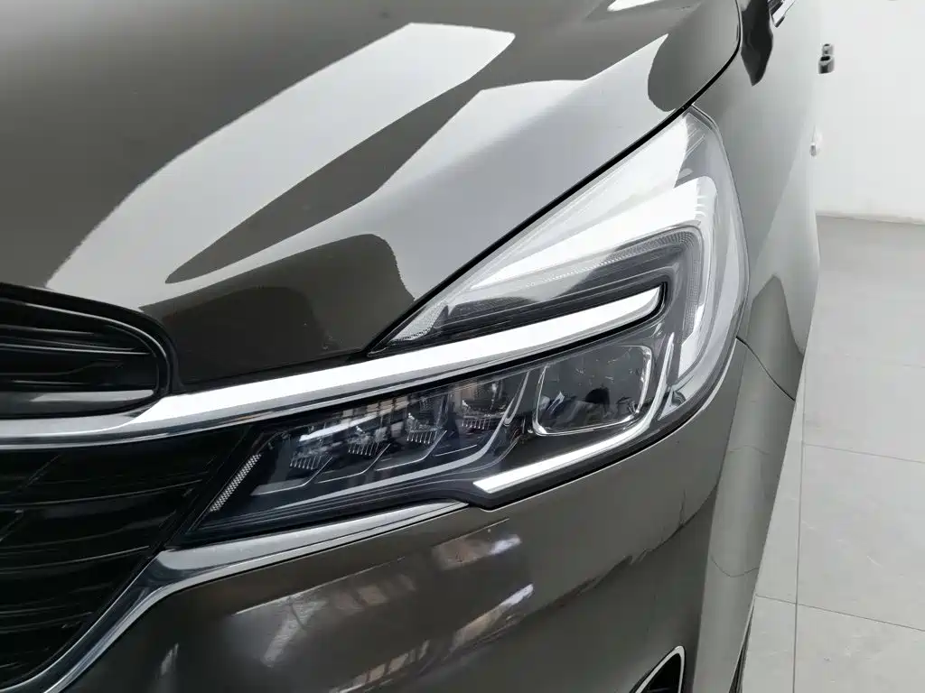 Buick GL8 — миниатюра 7