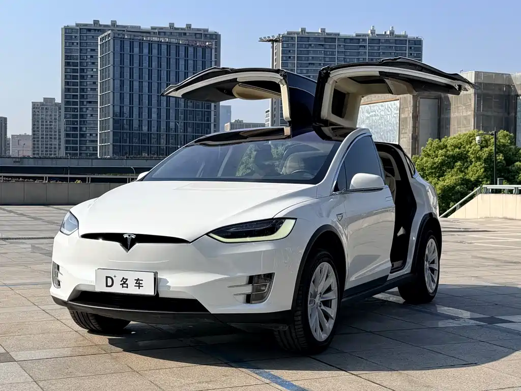 Tesla Model X 2016 Model X P100D Performance