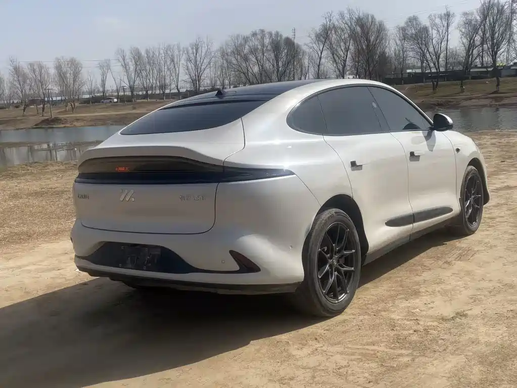 ZHIJI AUTOMOBILE ZHIJI LS6