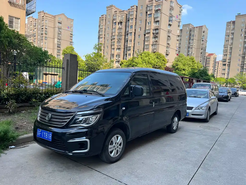 Fengxing Lingzhi 2020