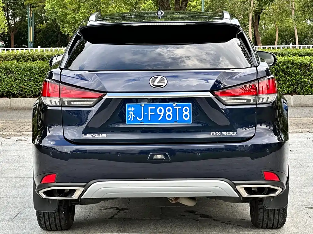 Lexus RX — миниатюра 5