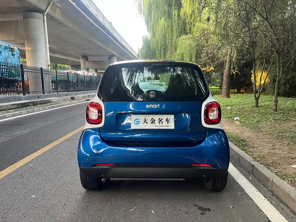 smart Smart Fortwo — миниатюра 14