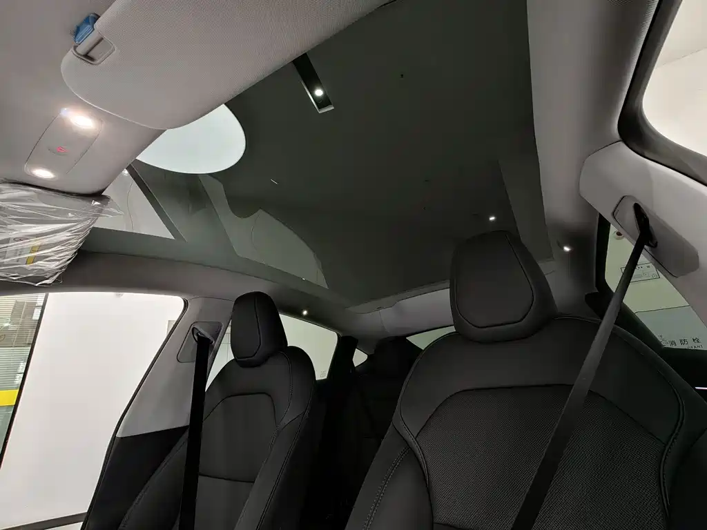 Tesla Model Y — миниатюра 8