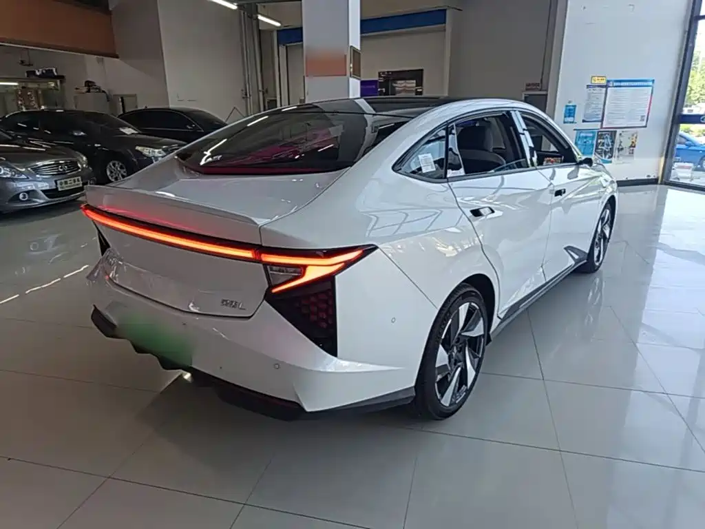 Lingxi Lingxi L — миниатюра 7