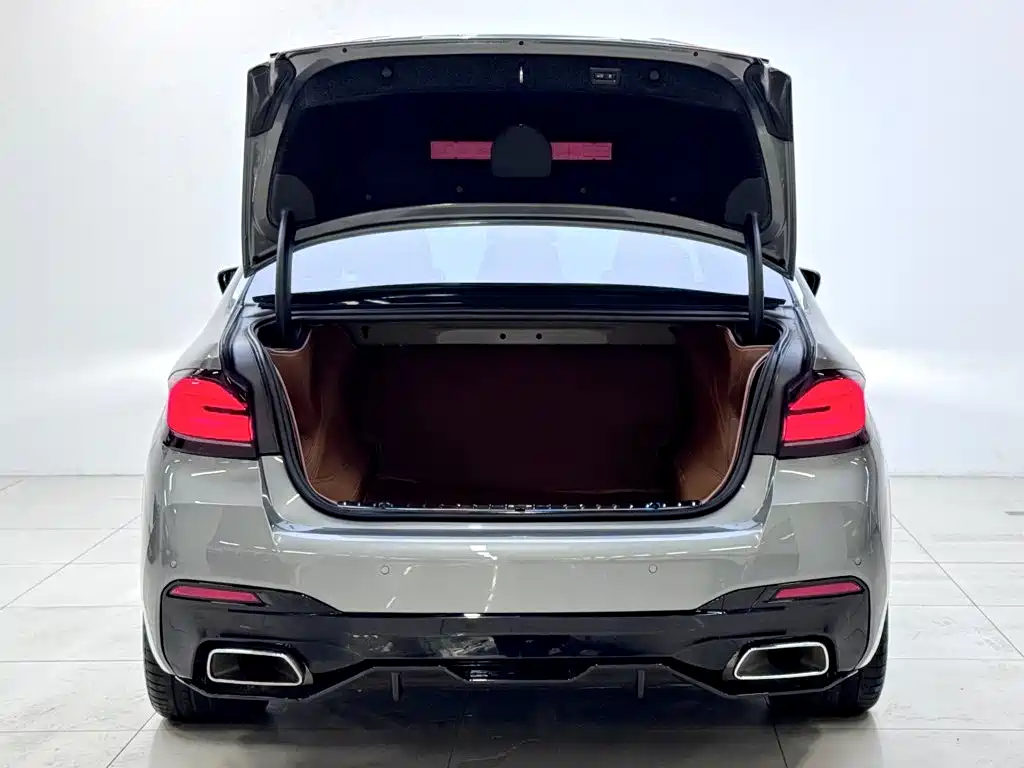 BMW 5 Series (Import) — миниатюра 5
