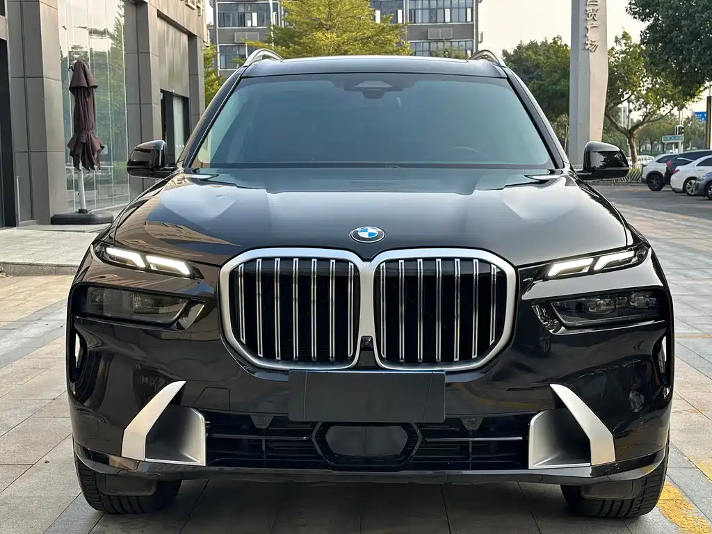 BMW X7 — миниатюра 2