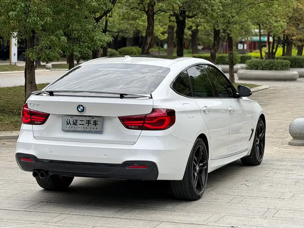 BMW 3 Series GT 320i M Sport Type, фото 12