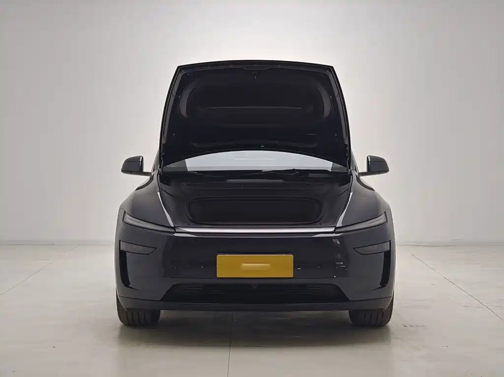 Tesla Model Y — миниатюра 12