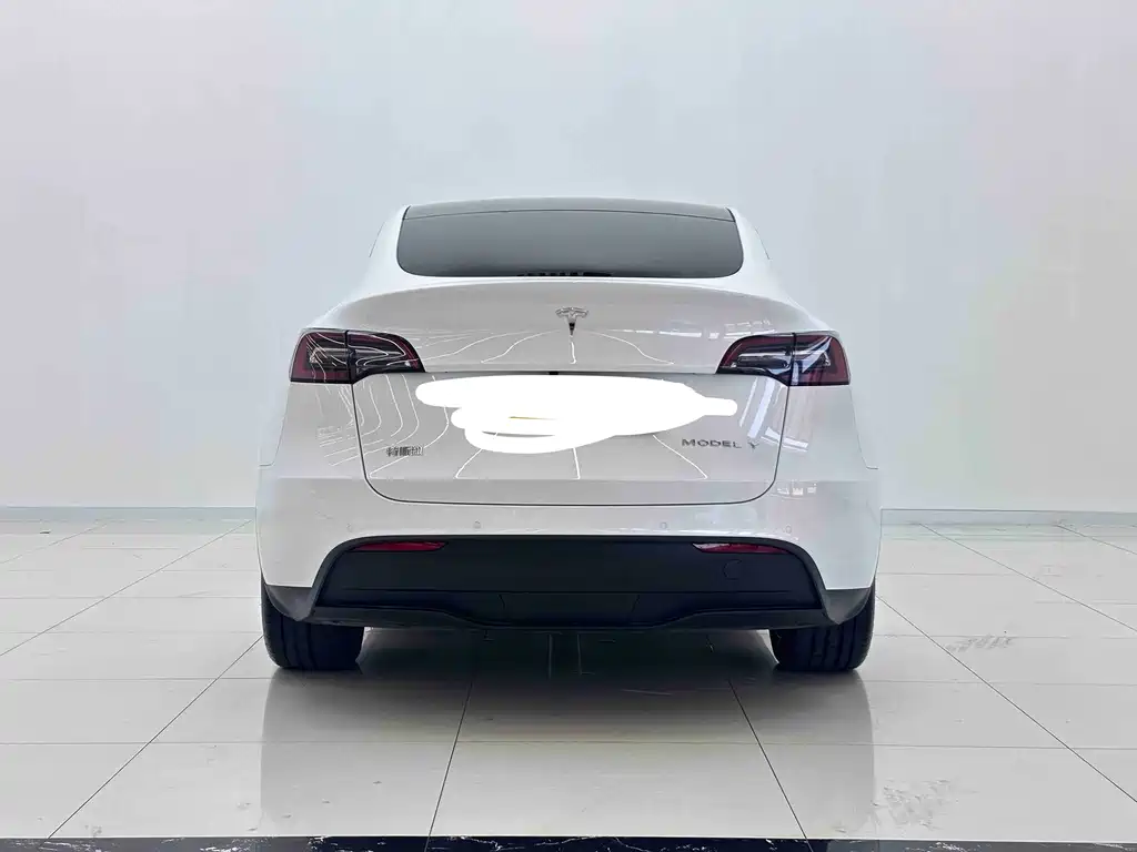 Tesla Model Y — миниатюра 4