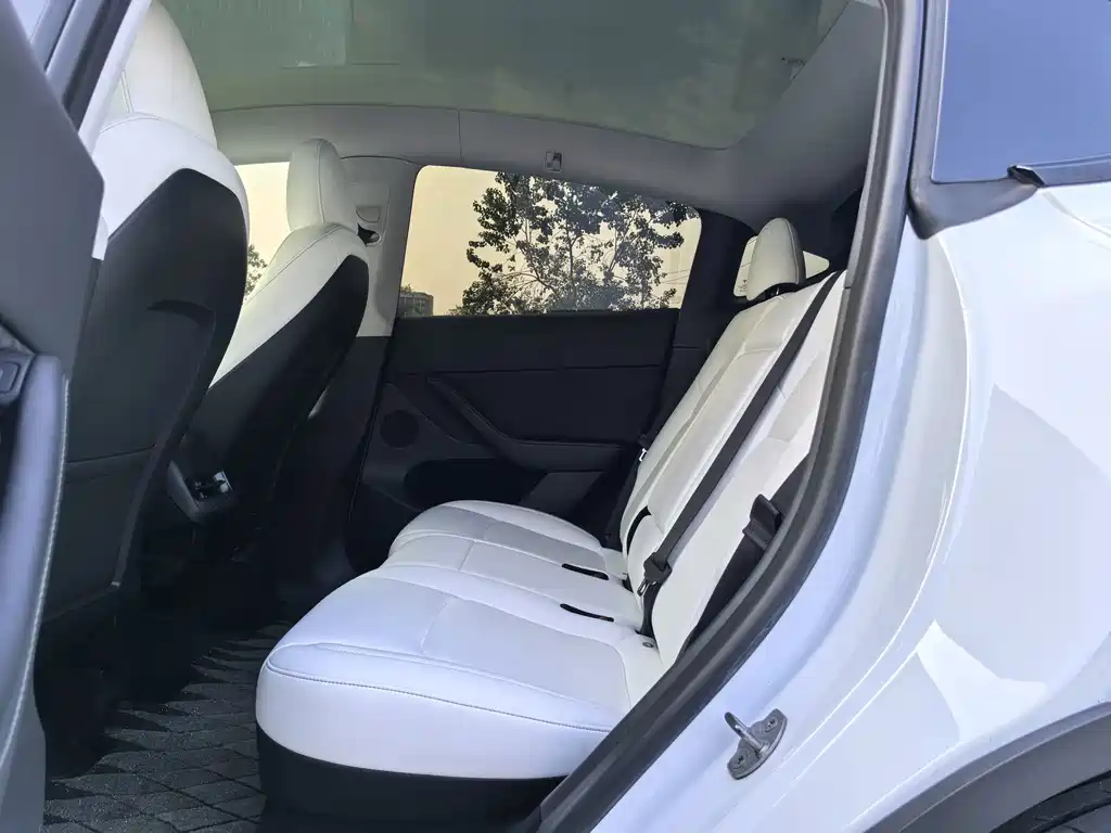 Tesla Model Y — миниатюра 8
