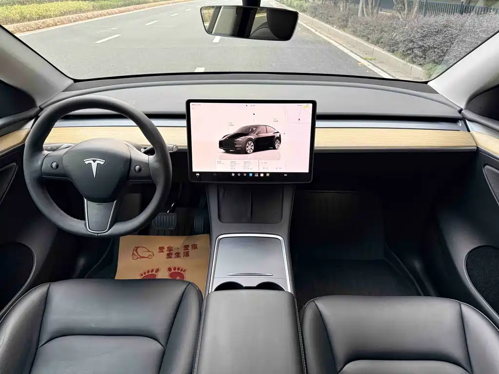 Tesla Model Y — миниатюра 13