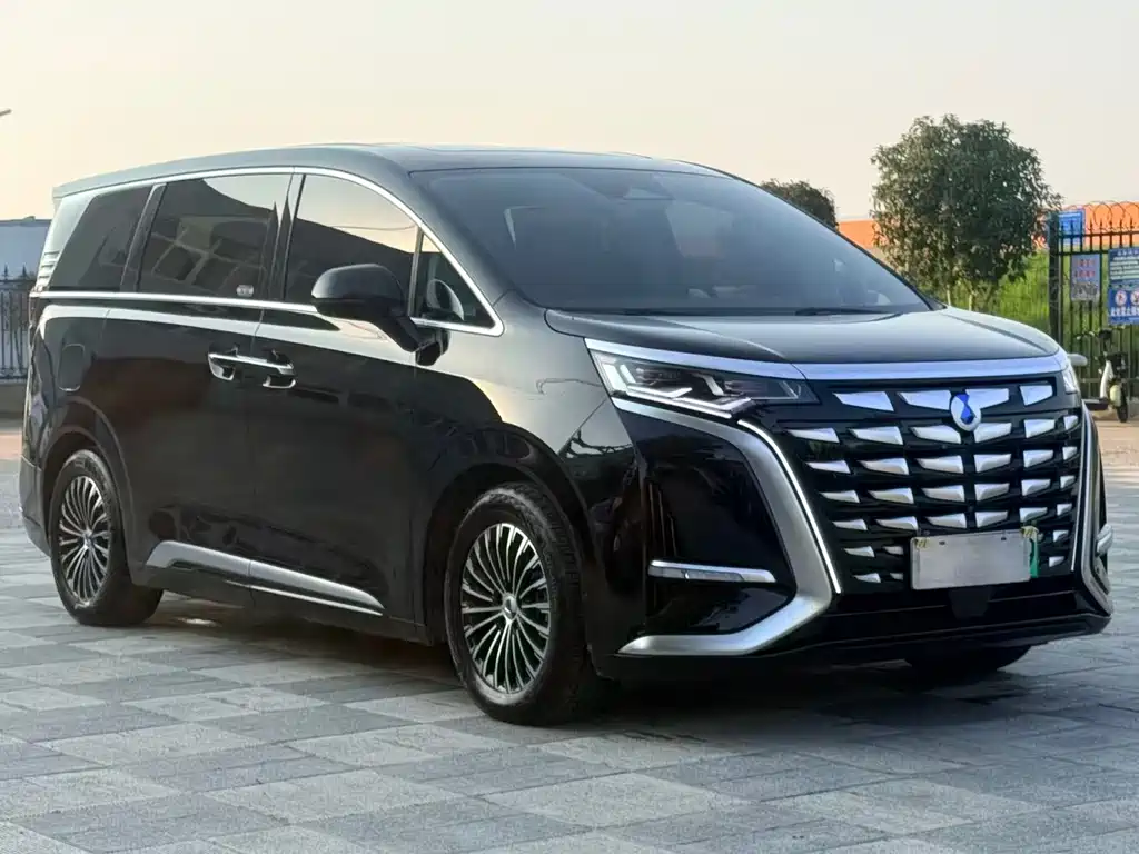 Denza Denza D9 — миниатюра 3