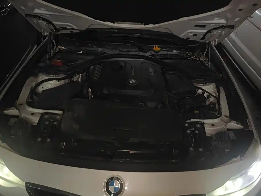 BMW 3 Series GT — миниатюра 10