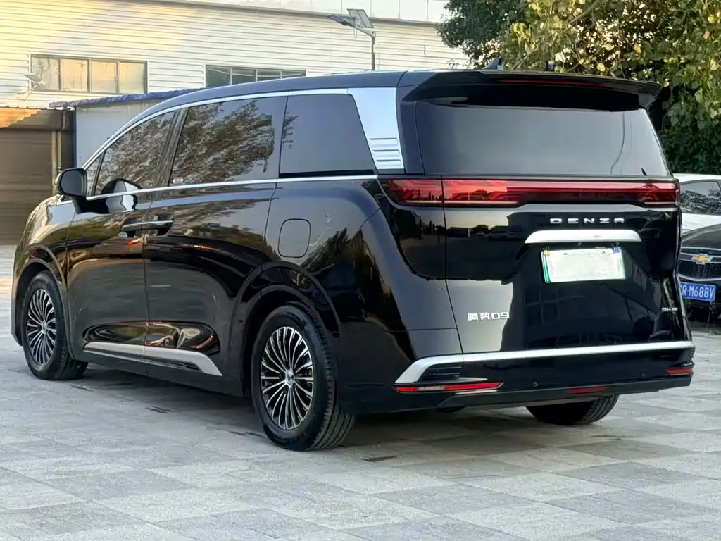Denza Denza D9 — миниатюра 5