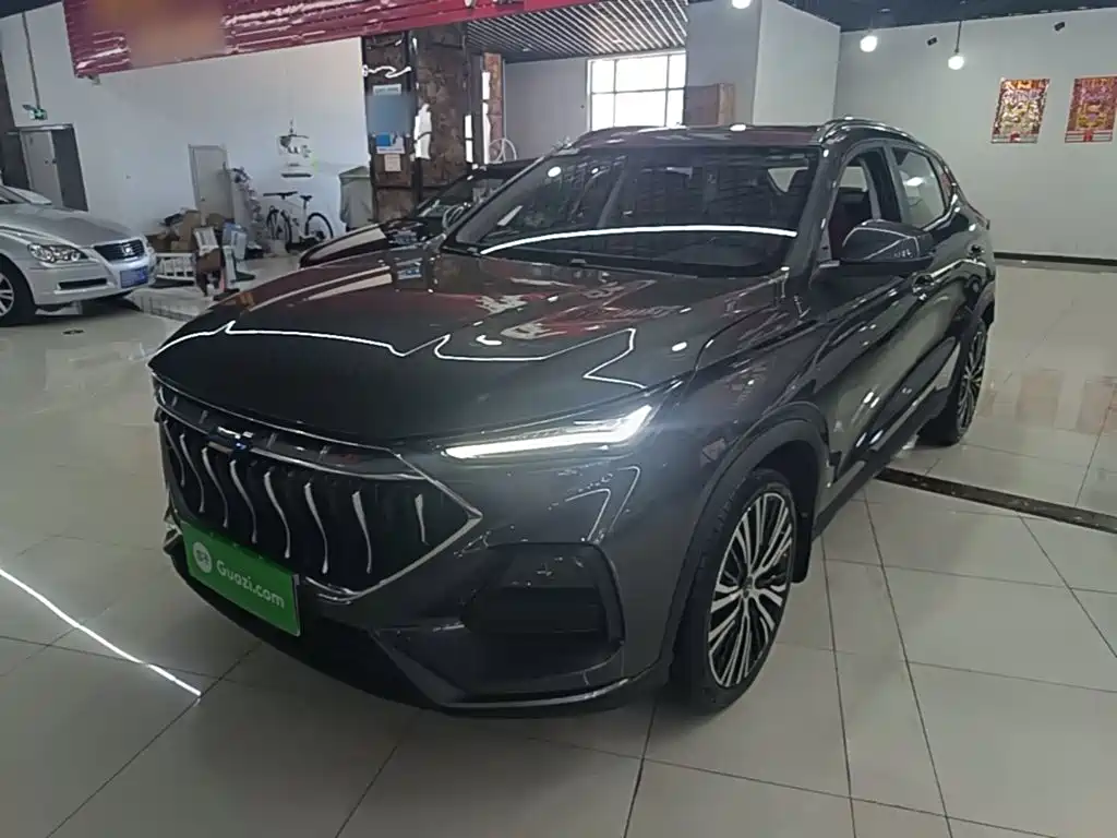 Oshan Oushang X5 — миниатюра 2