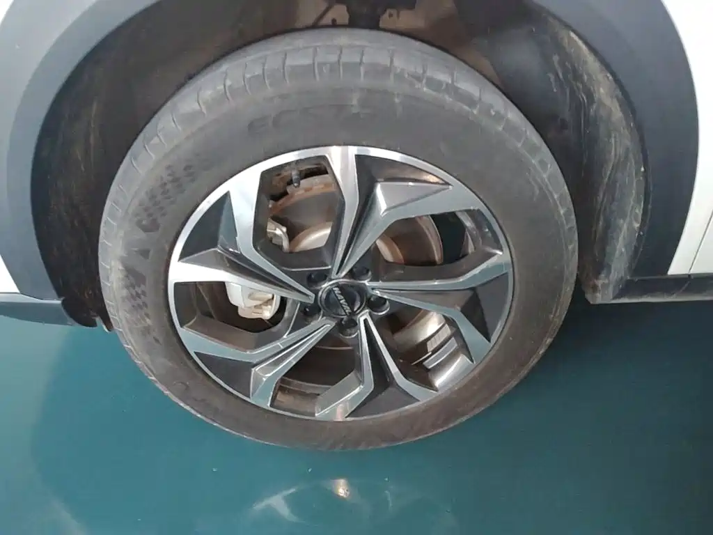 Haval Shenshou — миниатюра 23