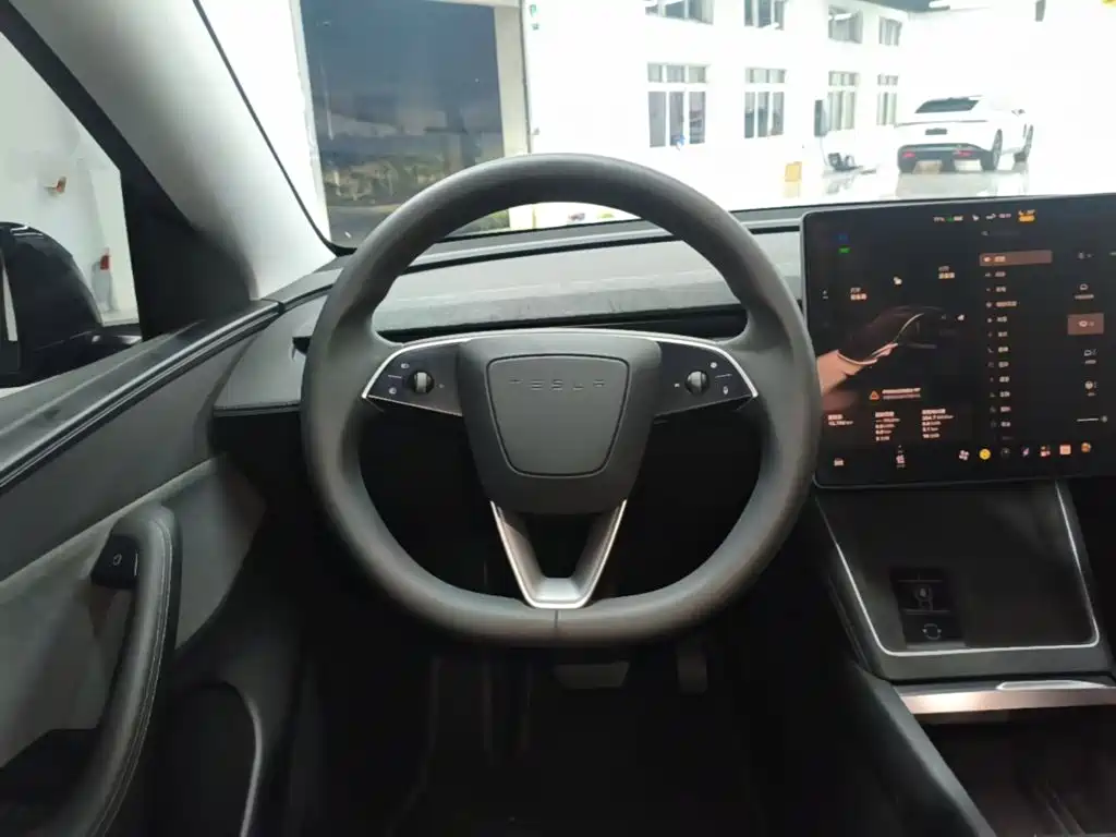 Tesla Model Y — миниатюра 11