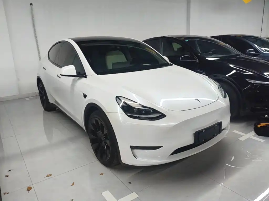 Tesla Model Y — миниатюра 4