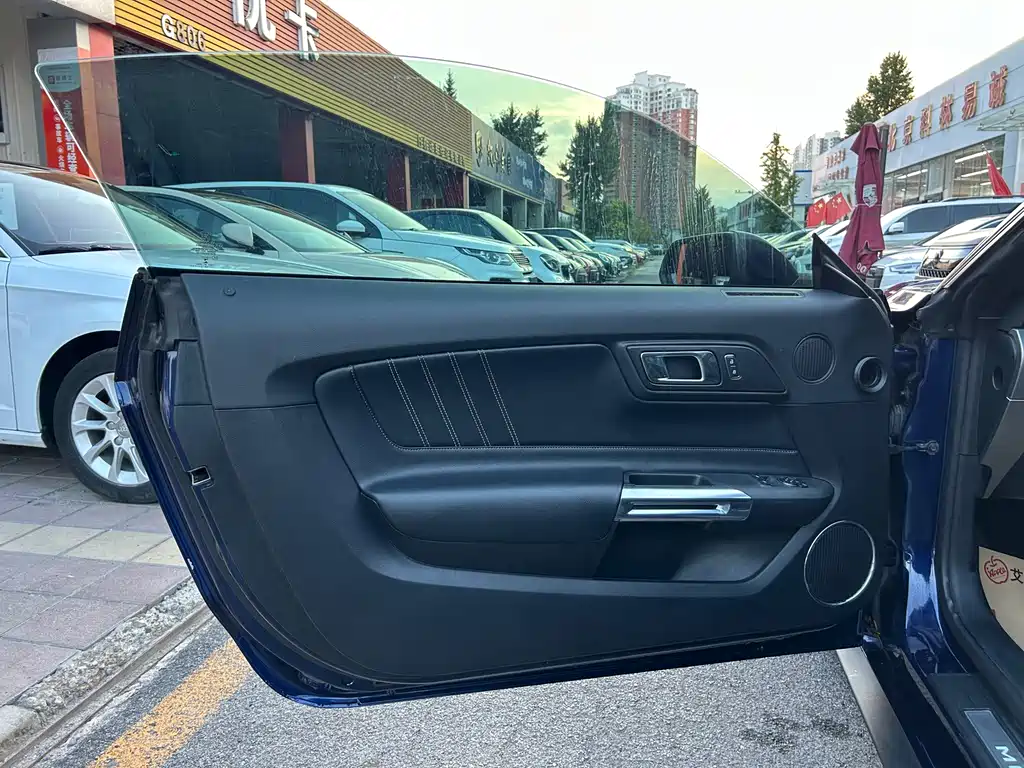 Ford Mustang — миниатюра 17