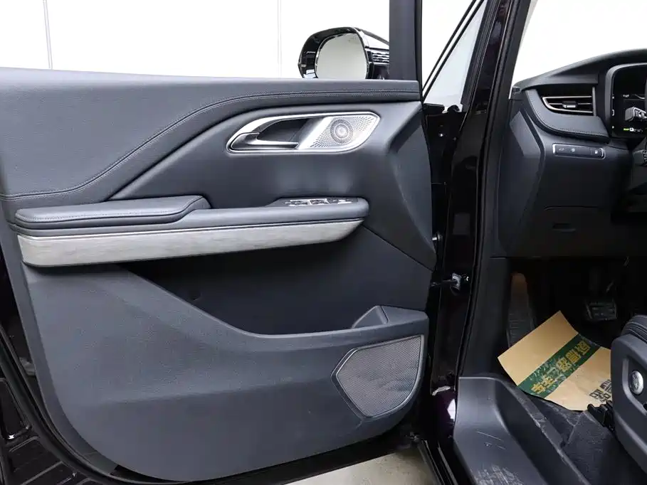 Hongqi HQ9 PHEV 2.0T 4WD Business Edition, фото 10