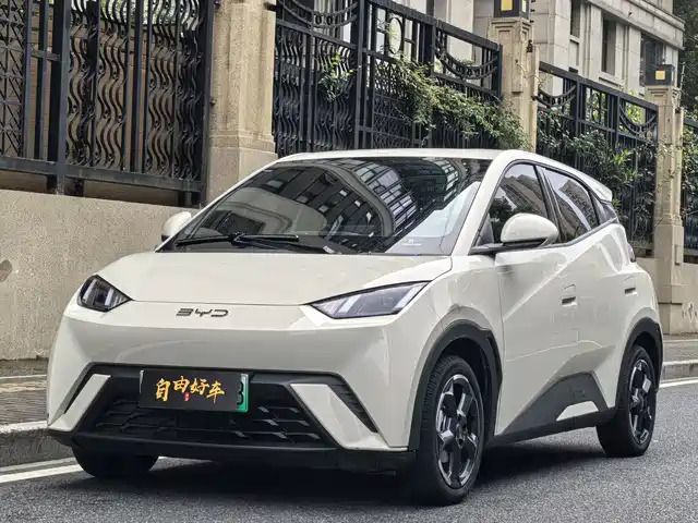 2024 BYD Seagull
