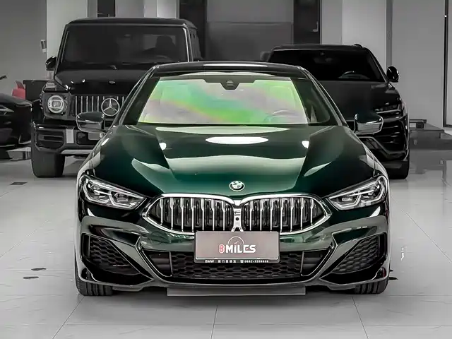BMW 8 SERIES