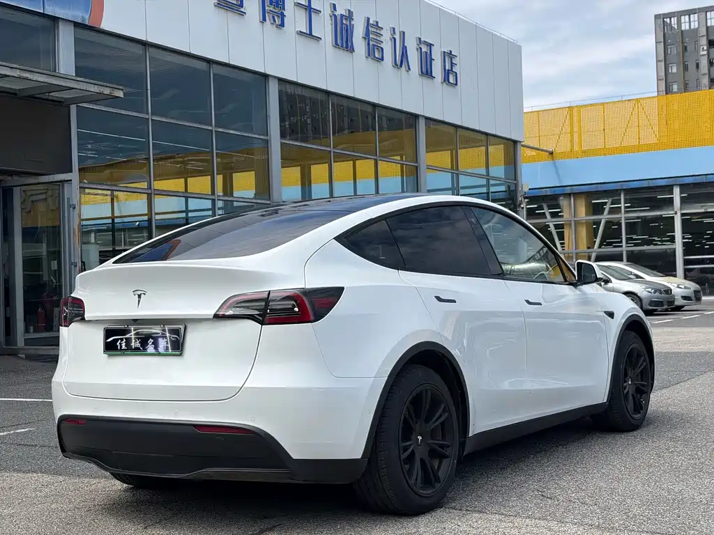 Tesla Model Y — миниатюра 2