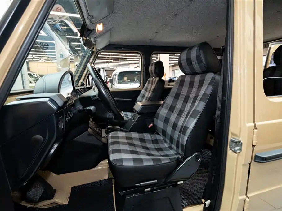 Mercedes-Benz G-Class G 2010 G 300 P