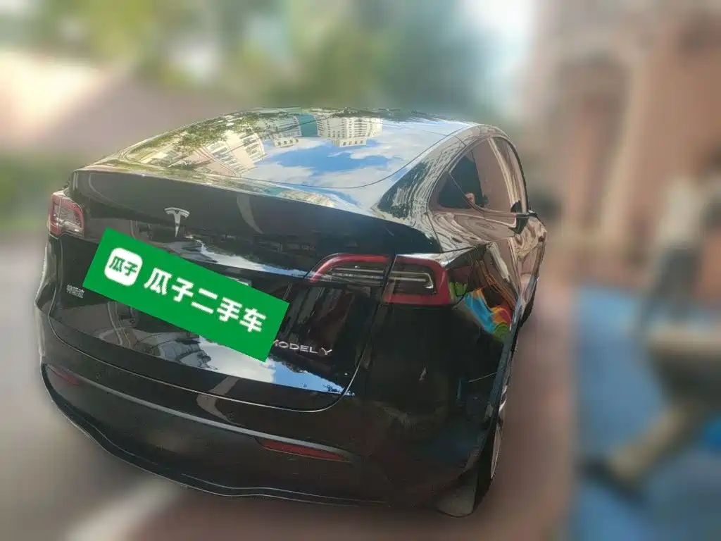 Tesla Model Y — миниатюра 6