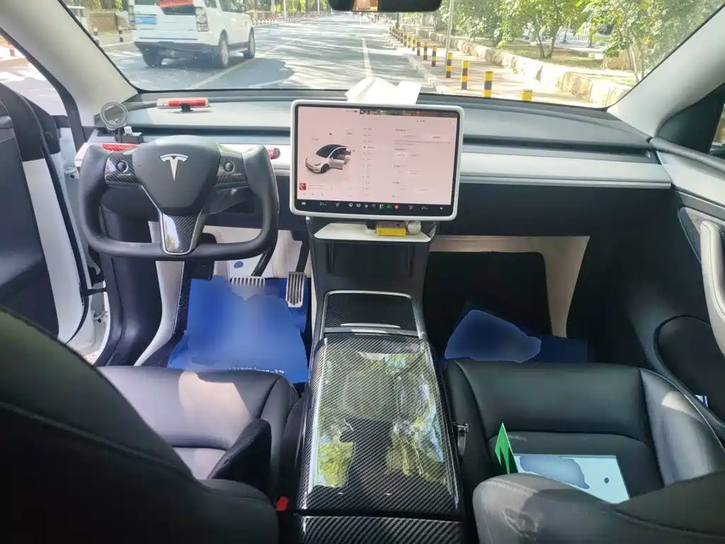 Tesla Model Y — миниатюра 10