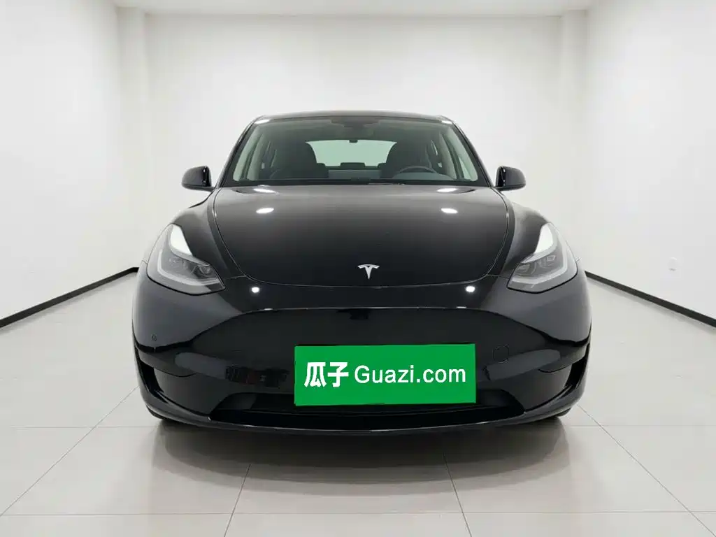 Tesla Model Y — миниатюра 2
