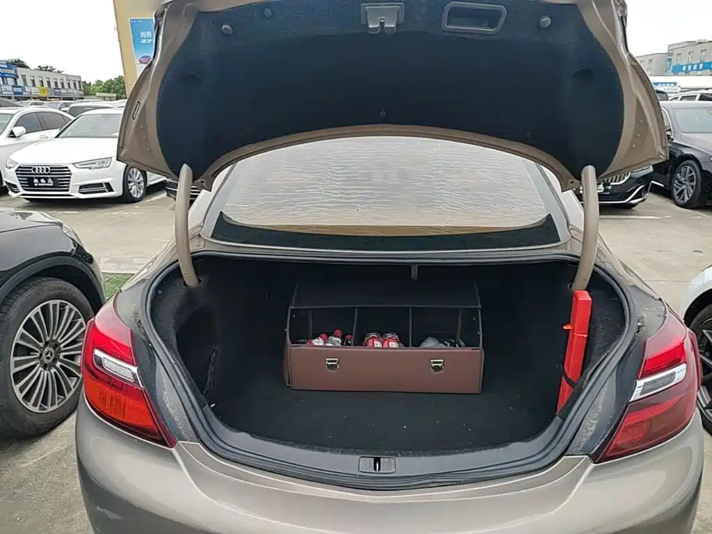 Buick Regal — миниатюра 19