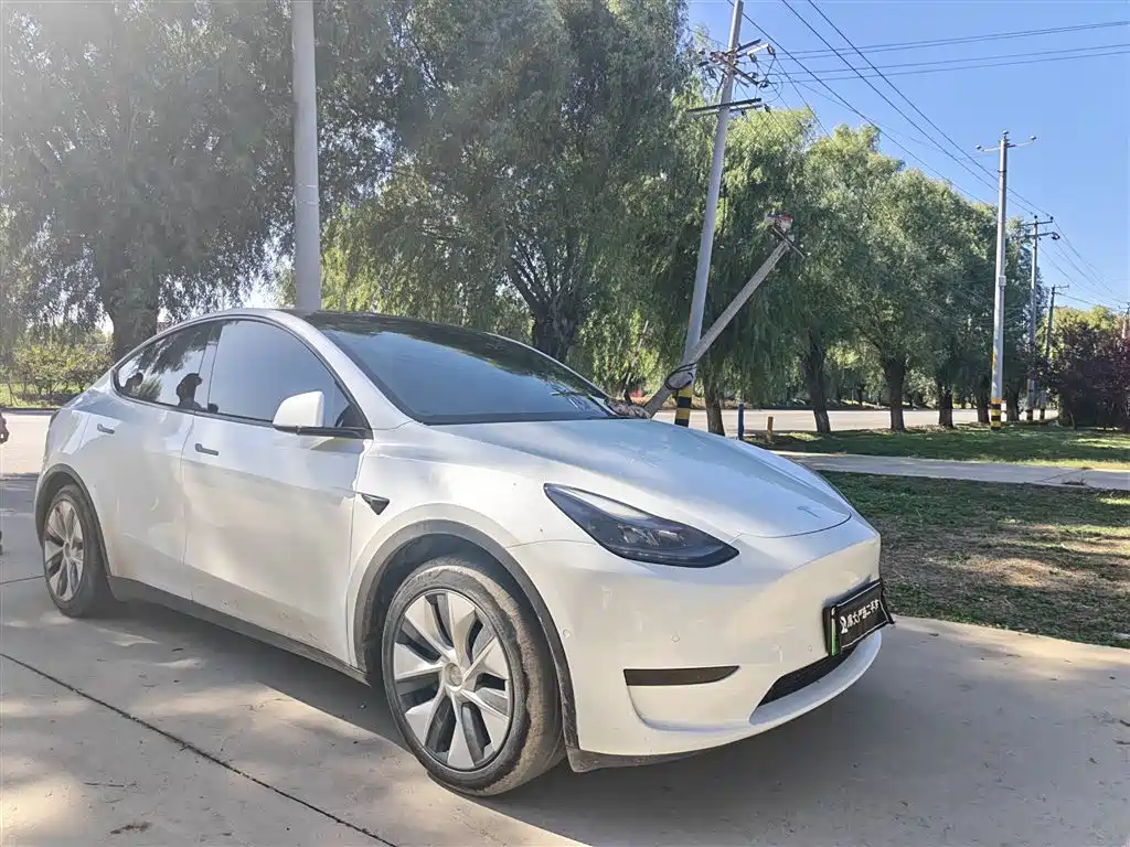 Tesla Model Y — миниатюра 2