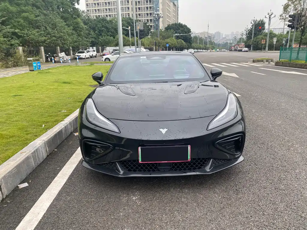 Neta Neta GT — миниатюра 2