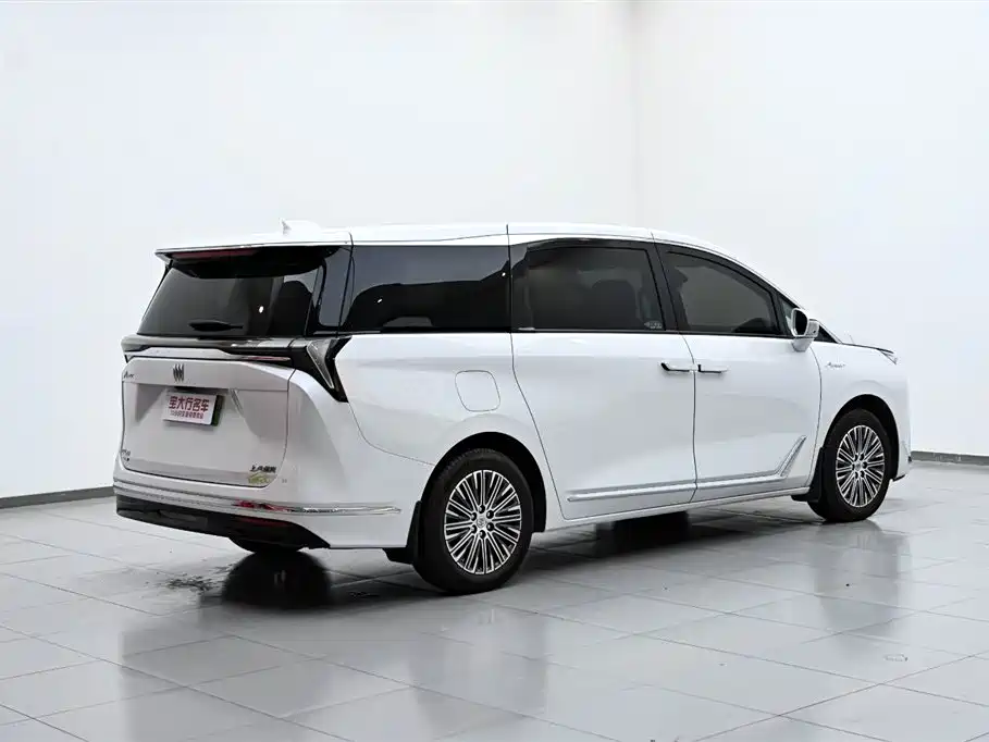 BUICK GL8 NEW ENERGY