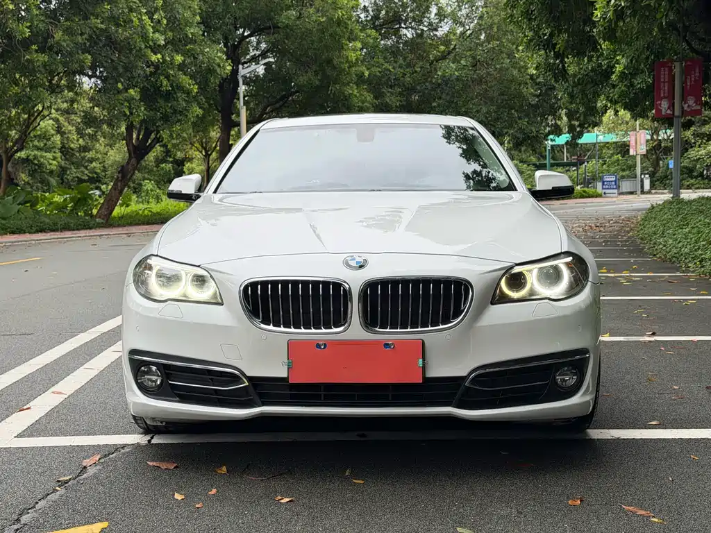 BMW 5 Series — миниатюра 2