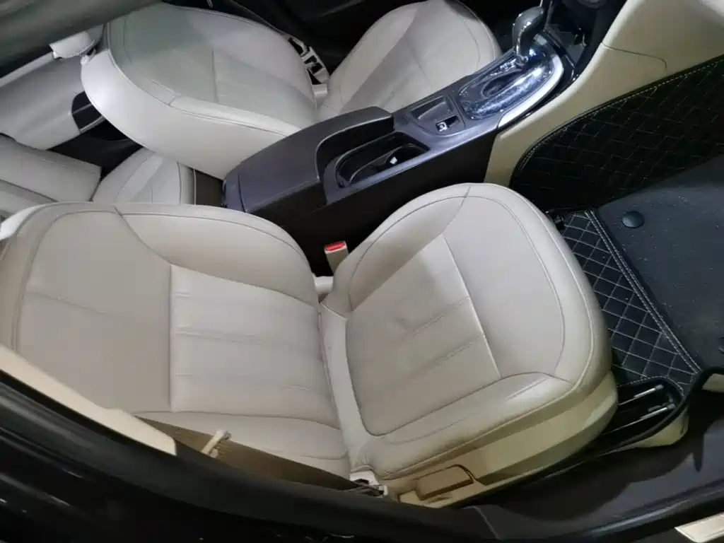 Buick Regal — миниатюра 25