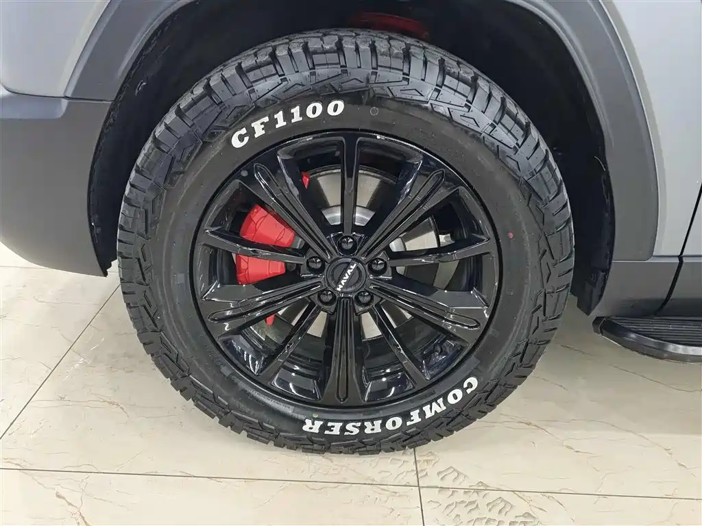 HAVAL RAPTORS NEW ENERGY