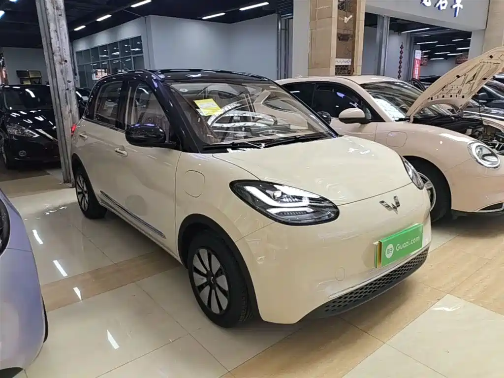 Wuling Binguo 2025 333km Enjoy