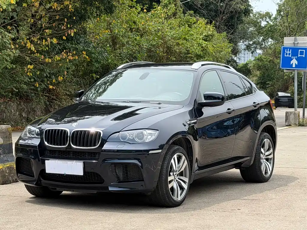 BMW X6 M 2010