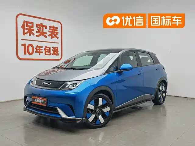 2022 BYD Dolphin